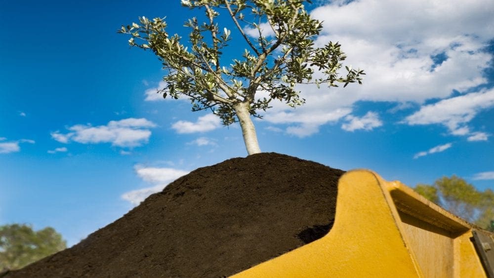 Fertilisants organiques produit