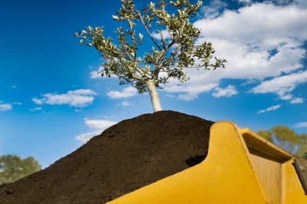 Fertilisants organiques produit
